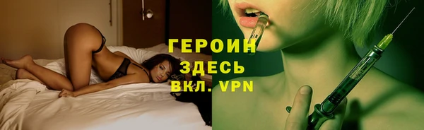 гашик Няндома
