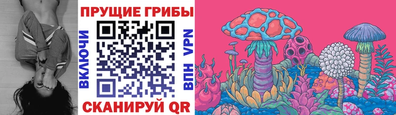 Псилоцибиновые грибы мицелий  Павлово 